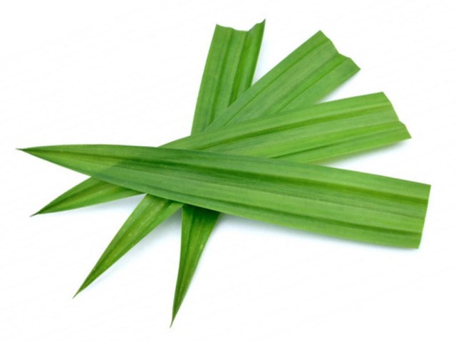 94e5abf18d6f41693c63dc31c453ab0b