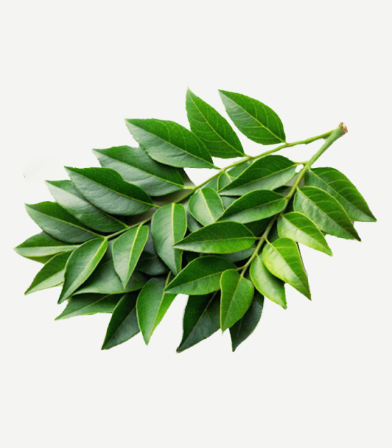 Curry-leaves