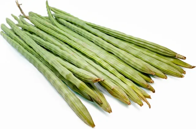 Drumstick_1200x1200