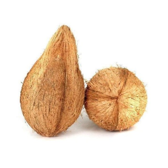 Fresh_Coconut_with_Tail_-_Single_if_not_good_money_back_-_Shaalis.com-669255