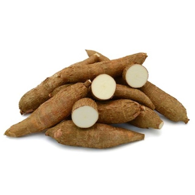 cassava-1