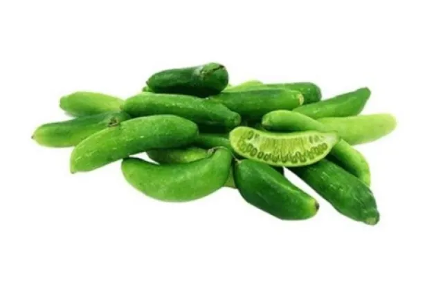 giloda