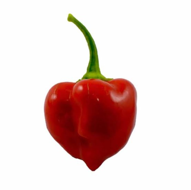 images7