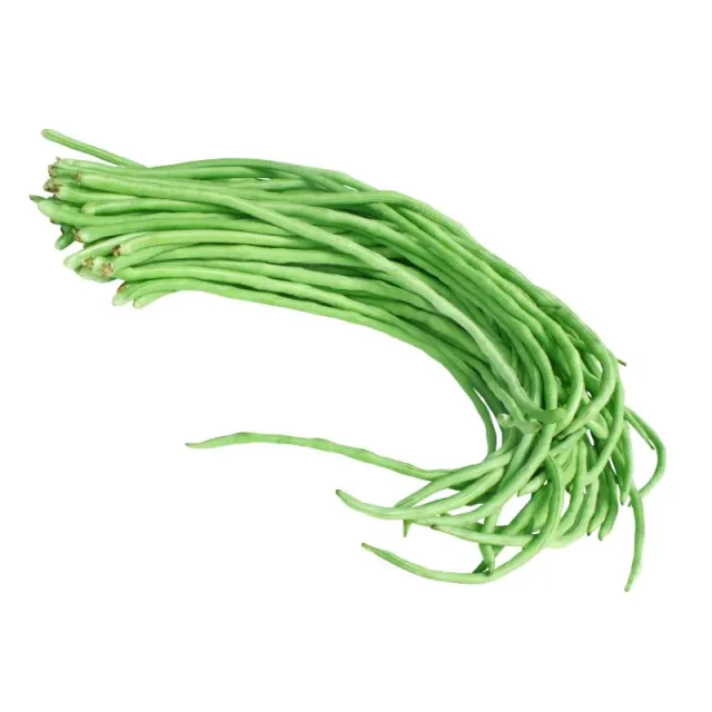 yardlongbeans_ad421b52-678c-44d2-befe-72ac8ebb353a